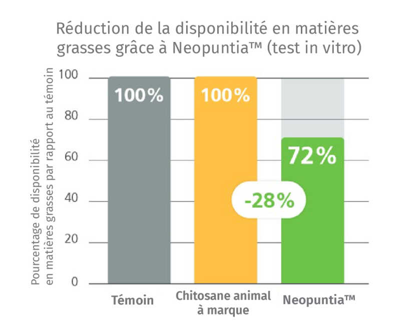 Thé de désintoxication - entièrement naturel, soutient le poids santé, aide  à réduire les ballonnements