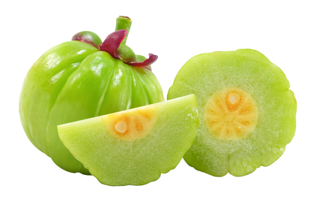 Extrait de garcinia cambodgien