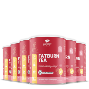 FatBurn Tea 6x paquet