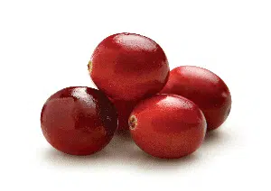 Canneberge (Exocyanᵀᴹ)