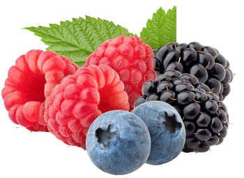 Goût de fruits des bois
