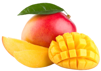 Mangue