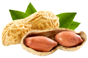 Cacahuètes grillées