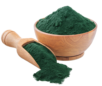 Extrait de spiruline bleue