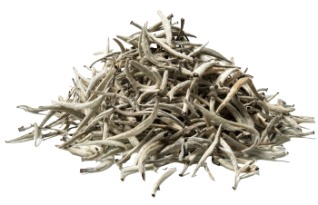Thé blanc