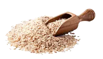 Téguments de graines de psyllium (Plantago ovata)