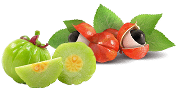 Guarana et Garcinia Cambogia