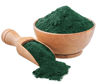 Spiruline