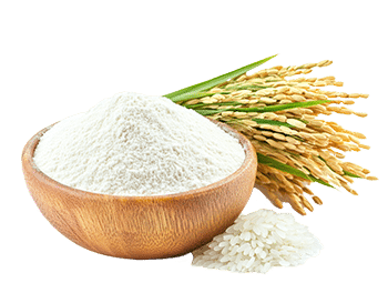 Farine de riz (Oryza sativa)
