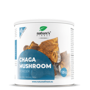 Chaga en poudre